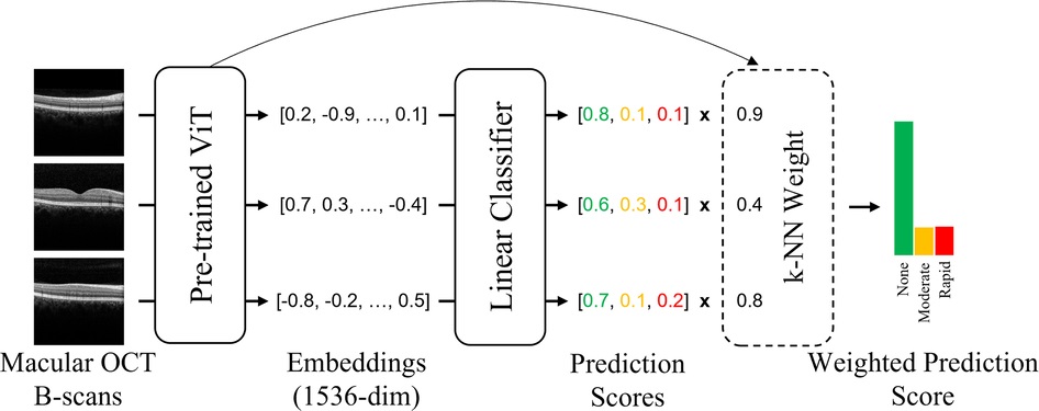 Overview of the classification pipeline.